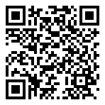 QR-Code - Logo - Fastgaming